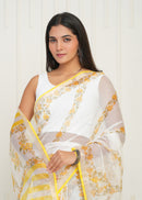 Utsav Kota Doria Saree