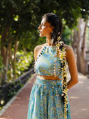 Radhika Lehenga Choli Set