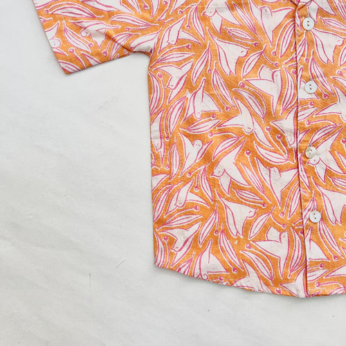 Cotton Shirts for Boys (0–8 Years)