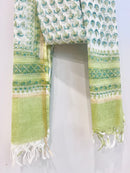 Block Printed Kota Doria Dupatta