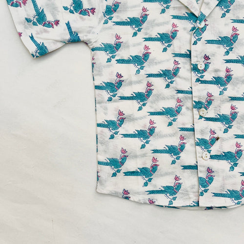 Cotton Shirts for Boys (0–8 Years)